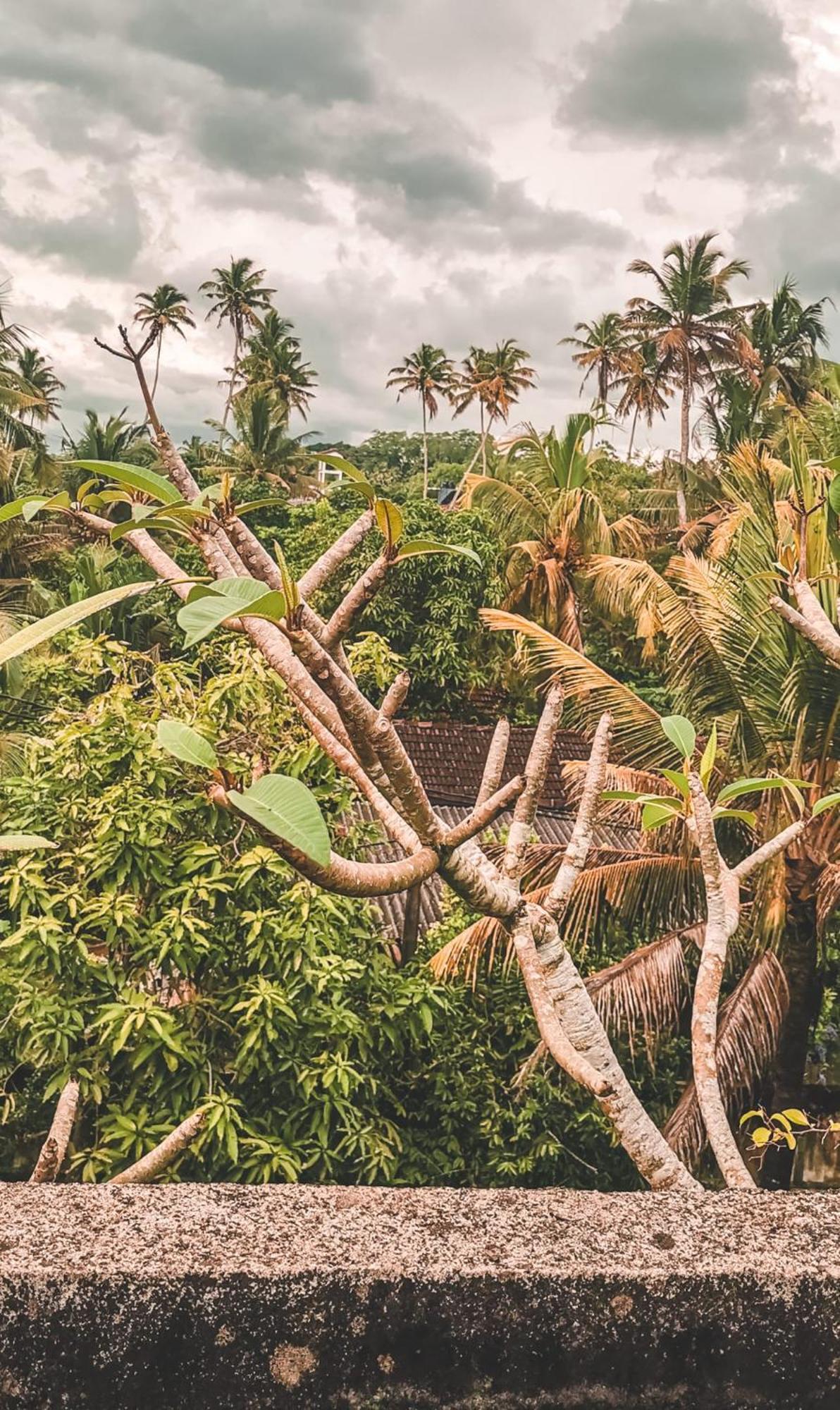 Weligama Bay Eco Villa Zewnętrze zdjęcie